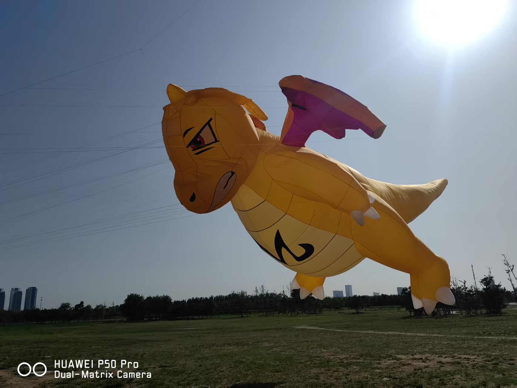 衡阳市软体风筝定制宣传风筝定制 - 厂家