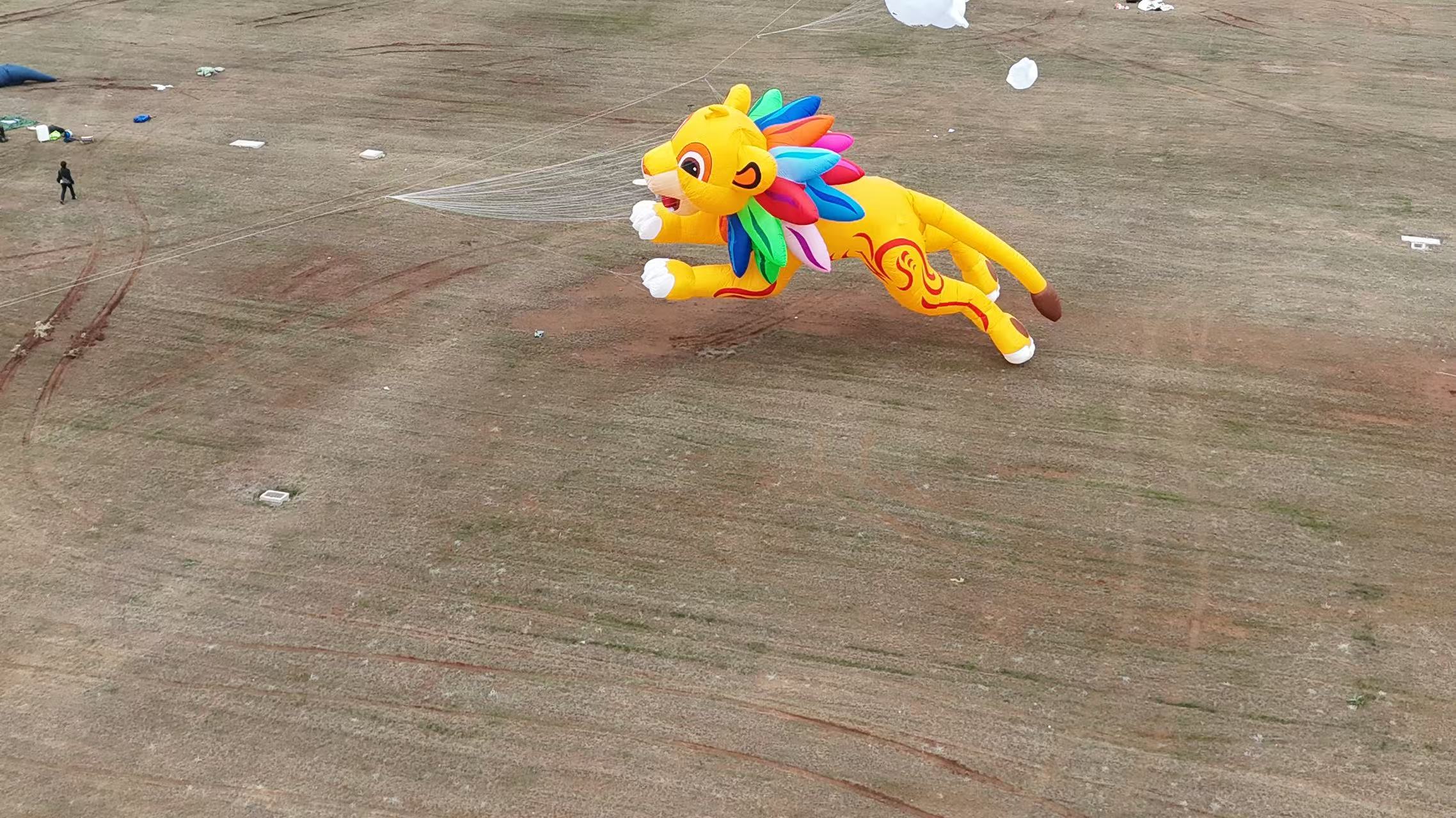 衡阳市品牌风筝定制宣传风筝定制 - 一站式服务