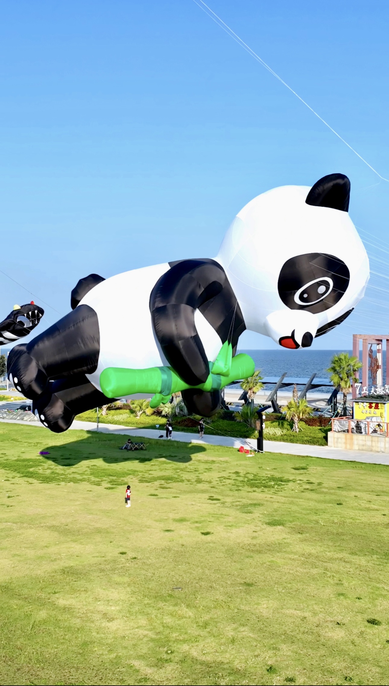 衡阳市风筝批发风筝放飞活动策划 - 方案