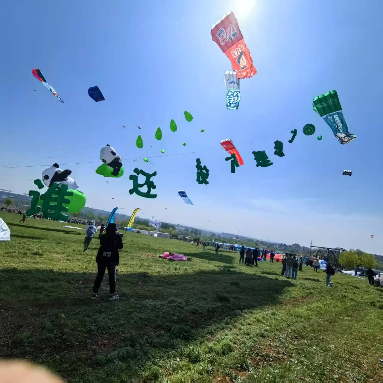 衡阳市风筝加工风筝定制 - 哪里好